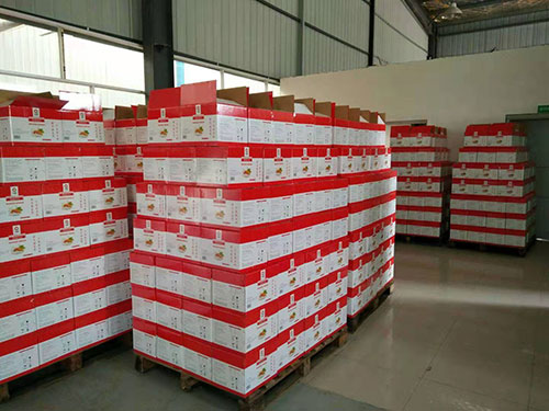 把企業的(de)難處放(fàng)在心上(shàng)